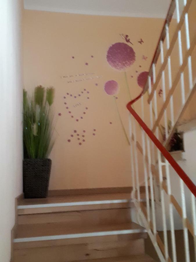 Schoene Zeit 2 Rooms Apartment With Kitchen 腓特烈港 外观 照片